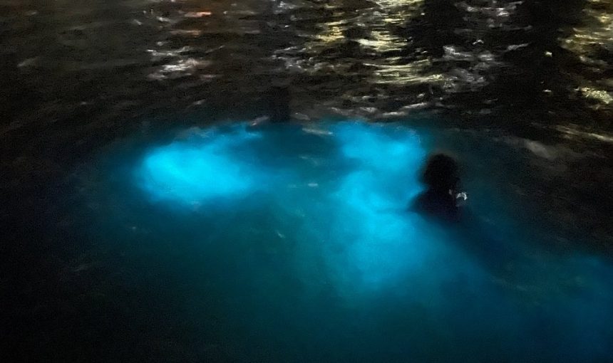Luminous Lagoon Night Tour from Montego Bay